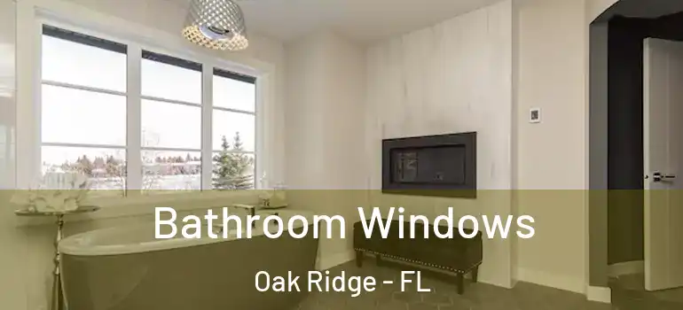  Bathroom Windows Oak Ridge - FL