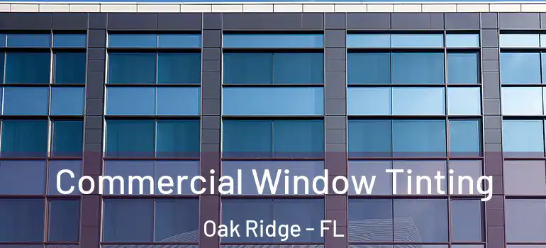  Commercial Window Tinting Oak Ridge - FL
