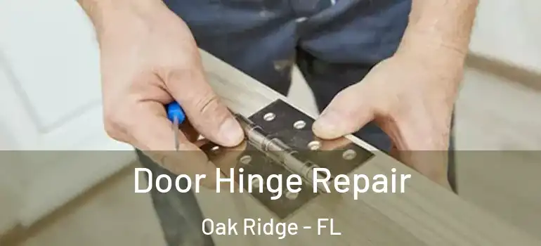  Door Hinge Repair Oak Ridge - FL