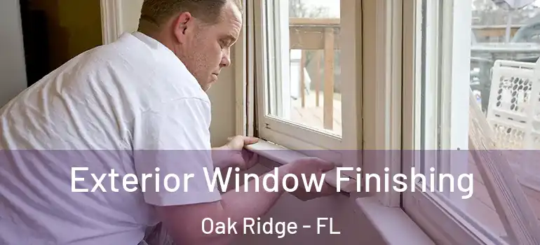  Exterior Window Finishing Oak Ridge - FL