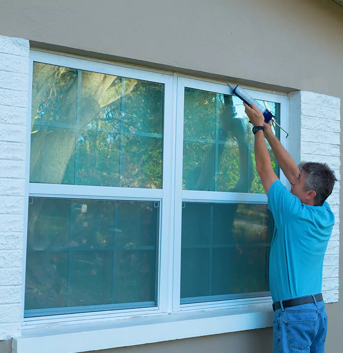Modern Windows in Oak Ridge, FL