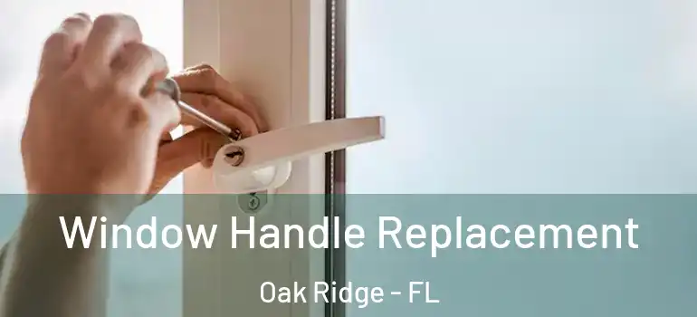  Window Handle Replacement Oak Ridge - FL