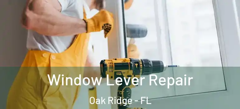  Window Lever Repair Oak Ridge - FL